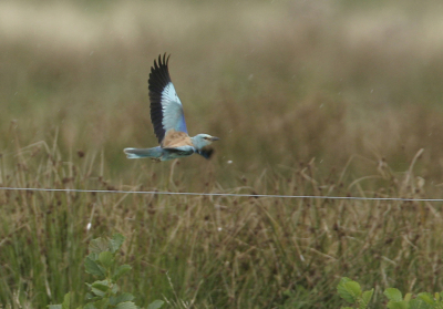 orginele vluchtfoto, wat is dat draad lelijk he!