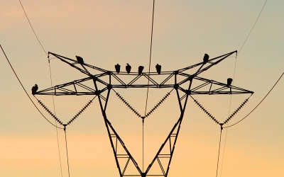 De derde is de meest aparte, er zullen ongetwijfeld mensen zijn die het niks vinden maar ik ben er zeer tevreden mee! s Nachts gaan een hoop gieren op stok op de vele elektriciteitsmasten in het gebied. s Ochtends bij het opkomen van de zon worden ze wakker en beginnen ze voorzichtig hun koppen omhoog te steken. De aparte vorm van de mast, het lijnenspel van de kabels, de tinten van het ochtendlicht en de silhouetten van de ontwakende gieren maken dat ik dit een geslaagde plaat vind.