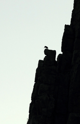 Nog maar eentje voor het slapen gaan :). Ik zag deze gier zitten op de klif van de Pena Falcon en ik dacht, laat ik eens wat anders doen. Ik heb er een minimalistisch silhouetteplaatje van gemaakt. Ik kan niet goed uitdrukken waarom maar ik vind het zelf een heerlijke plaat om naar te kijken.