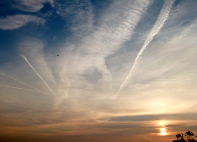 Van vogels in het landschap naar
'zwaluw in het luchtschap' 
vergt een anders zien en denken.

Van straalaandrijving naar zweven en duikelen
van Mach-2  naar de natuurlijke maat.

Een zwaluw domineert het zwerk streeploos.
Vleugelt tinten uit het gareel.

Wie durft?


.