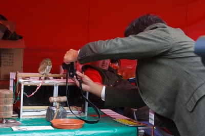 Dit zijn geen diervriendelijke situaties!!!! vraag me af hoe diervriendelijk de roofvogelmensen zijn?