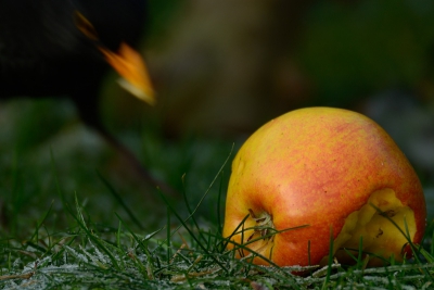 experiment met meerdere onderwerpen en beweging

tjonge, moet nou ook al in je PA minstens 15 woorden in de omschrijving? pfff. flauwekul.