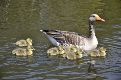 Een jaar geleden, ietsje warmer, de natuur een stuk verder.