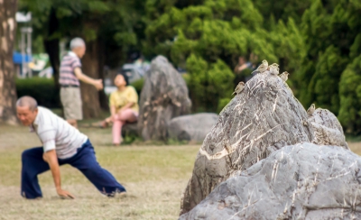 Tegen het eind van de middag als de temperatuur wat gezakt is komen de Taiwanezen naar het park voor wat lichaamsbeweging. Terwijl de mussen even lekker uit zitten te rusten geeft de man een showtje "schaduwboksen". Foto genomen in het Cultureel centrum van Kaohsiung.