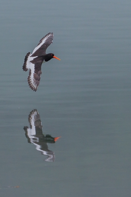 Foto ergens in een Fjord waar je prachtige reflecties hebt in het water