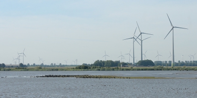 Nederlandse natuur. Een vergeten weiland plas-dras gezet in een kunstmatig aangelegde polder op de op de voormalige zeebodem en veel windmolens.