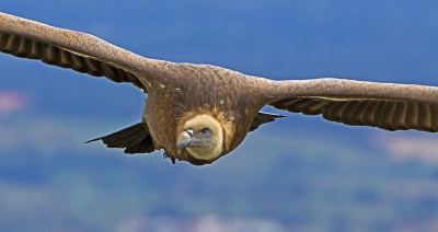 Altijd weer een hele belevenis om een paar uur op de Salto Gitano door te brengen en de jongens thuis te zien komen.