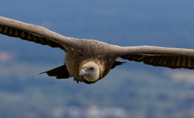 Altijd weer een hele belevenis om een paar uur op de Salto Gitano door te brengen en de jongens thuis te zien komen.