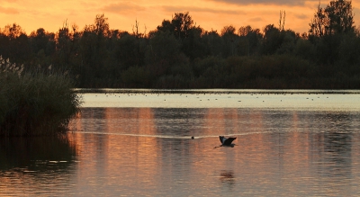 Op advies van Josephine heb ik van deze foto een panorama gemaakt en de foto in zijn geheel nog ietsiepietsie verscherpt.
Deze foto was in het TA beland wegens onscherpte.
Hoop dat de foto op deze manier nog een kans krijgt want daar vind ik hem te mooi voor!!