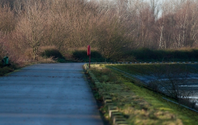 Hier een foto van de omgeving waarin de Goudplevier zat.
De Goudplevier zelf is het stipje naast de rode paal.
Ik had deze soort hier totaal niet verwacht!