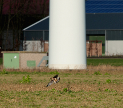 Nog even naar flevoland geweest om wat energie op te doen . Laat ik de enige niet zijn