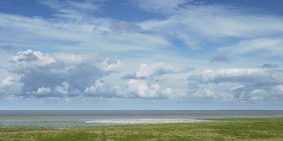 Overzicht van de Kluten op de HVP bij Zwarte Haan. Originele geplaatste foto vind je hier:
http://www.birdpix.nl/album_page.php?pic_id=398129

.