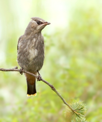 <i class='fa fa-user'></i>&nbsp;thijsglastra&nbsp;|   Pestvogel&nbsp; <i class='fa fa-eye'>&nbsp;533</i> &nbsp; <i class='fa fa-comment-o'>&nbsp;6</i>