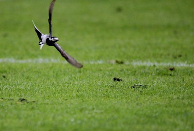 Tijdens een voetbalkamp op het veld afgelopen zomer. Voor het eerst mijn 150-500mm lens gebruikt
