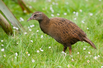 <i class='fa fa-user'></i>&nbsp;Niels Geelen&nbsp;|   Weka&nbsp; <i class='fa fa-eye'>&nbsp;279</i> &nbsp; <i class='fa fa-comment-o'>&nbsp;4</i>