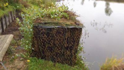 Sinds kort een IJsvogel in de tuin en sinds vorig weekend begonnen met het bouwen van een simpel hutje. Dit is het resultaat en de eerste resultaten zijn gemaakt!