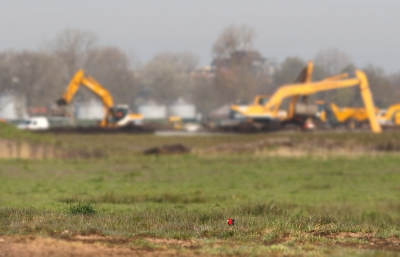 <i class='fa fa-user'></i>&nbsp;thijsglastra&nbsp;|   Fazant&nbsp; <i class='fa fa-eye'>&nbsp;405</i> &nbsp;<i class='fa fa-thumbs-up'>&nbsp;4</i> &nbsp; <i class='fa fa-comment-o'>&nbsp;4</i>