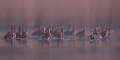 <i class='fa fa-user'></i>&nbsp;EV&nbsp;|   Grutto&nbsp; <i class='fa fa-eye'>&nbsp;424</i> &nbsp;<i class='fa fa-thumbs-up'>&nbsp;13</i> &nbsp; <i class='fa fa-comment-o'>&nbsp;17</i>