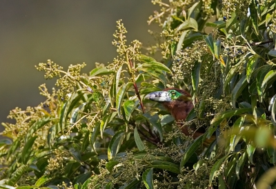 <i class='fa fa-user'></i>&nbsp;charlysax&nbsp;|   Vleksnavelpepervreter&nbsp; <i class='fa fa-eye'>&nbsp;266</i> &nbsp;<i class='fa fa-thumbs-up'>&nbsp;6</i> &nbsp; <i class='fa fa-comment-o'>&nbsp;9</i>