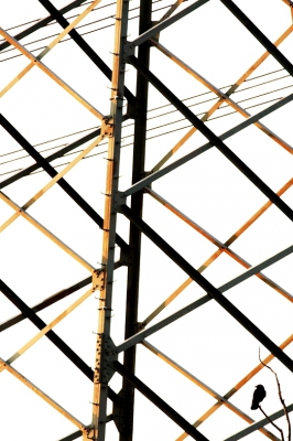 <i class='fa fa-user'></i>&nbsp;Henri Aantjes&nbsp;|   Zwarte Kraai&nbsp; <i class='fa fa-eye'>&nbsp;310</i> &nbsp;<i class='fa fa-thumbs-up'>&nbsp;3</i> &nbsp; <i class='fa fa-comment-o'>&nbsp;6</i>