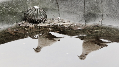 <i class='fa fa-user'></i>&nbsp;Anneke66&nbsp;|   Turkse Tortel&nbsp; <i class='fa fa-eye'>&nbsp;526</i> &nbsp;<i class='fa fa-thumbs-up'>&nbsp;9</i> &nbsp; <i class='fa fa-comment-o'>&nbsp;14</i>