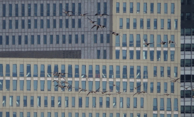 <i class='fa fa-user'></i>&nbsp;sieb&nbsp;|   Kolgans&nbsp; <i class='fa fa-eye'>&nbsp;581</i> &nbsp;<i class='fa fa-thumbs-up'>&nbsp;11</i> &nbsp; <i class='fa fa-comment-o'>&nbsp;15</i>