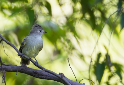 <i class='fa fa-user'></i>&nbsp;charlysax&nbsp;|   Kapelenia&nbsp; <i class='fa fa-eye'>&nbsp;192</i> &nbsp; <i class='fa fa-comment-o'>&nbsp;1</i>