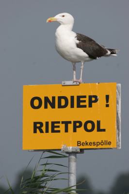 De foto verteld het verhaal.