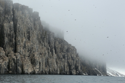 <i class='fa fa-user'></i>&nbsp;Frank Kremer&nbsp;|   Kortbekzeekoet&nbsp; <i class='fa fa-eye'>&nbsp;302</i> &nbsp; <i class='fa fa-comment-o'>&nbsp;6</i>