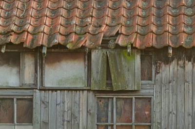 <i class='fa fa-user'></i>&nbsp;nelappelmelk&nbsp;|   Steenuil&nbsp; <i class='fa fa-eye'>&nbsp;514</i> &nbsp;<i class='fa fa-thumbs-up'>&nbsp;9</i> &nbsp; <i class='fa fa-comment-o'>&nbsp;19</i>