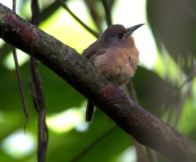 <i class='fa fa-user'></i>&nbsp;David Spelt&nbsp;|   Bruine Trappist&nbsp; <i class='fa fa-eye'>&nbsp;196</i> &nbsp;<i class='fa fa-thumbs-up'>&nbsp;1</i> &nbsp; <i class='fa fa-comment-o'>&nbsp;4</i>