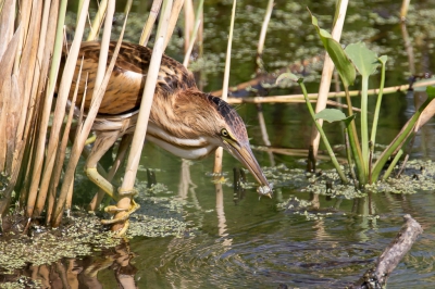 <i class='fa fa-user'></i>&nbsp;Vincent Vuik&nbsp;|   Woudaap&nbsp; <i class='fa fa-eye'>&nbsp;624</i> &nbsp;<i class='fa fa-thumbs-up'>&nbsp;4</i> &nbsp; <i class='fa fa-comment-o'>&nbsp;20</i>