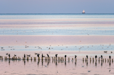 <i class='fa fa-user'></i>&nbsp;jwchess&nbsp;|   Aalscholver&nbsp; <i class='fa fa-eye'>&nbsp;449</i> &nbsp;<i class='fa fa-thumbs-up'>&nbsp;17</i> &nbsp; <i class='fa fa-comment-o'>&nbsp;19</i>