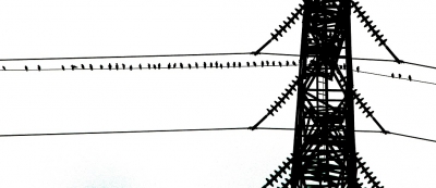 <i class='fa fa-user'></i>&nbsp;Fons Hoiting&nbsp;|   Spreeuw&nbsp; <i class='fa fa-eye'>&nbsp;263</i> &nbsp;<i class='fa fa-thumbs-up'>&nbsp;3</i> &nbsp; <i class='fa fa-comment-o'>&nbsp;7</i>