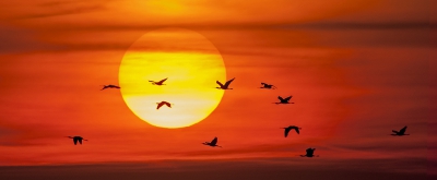 <i class='fa fa-user'></i>&nbsp;Fred&nbsp;|   Lepelaar&nbsp; <i class='fa fa-eye'>&nbsp;262</i> &nbsp;<i class='fa fa-thumbs-up'>&nbsp;2</i> &nbsp; <i class='fa fa-comment-o'>&nbsp;4</i>