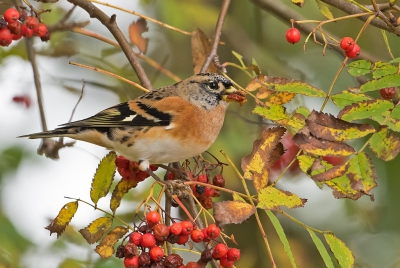 <i class='fa fa-user'></i>&nbsp;Jakob Keun&nbsp;|   Keep&nbsp; <i class='fa fa-eye'>&nbsp;338</i> &nbsp;<i class='fa fa-thumbs-up'>&nbsp;1</i> &nbsp; <i class='fa fa-comment-o'>&nbsp;7</i>