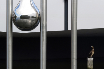 <i class='fa fa-user'></i>&nbsp;sieb&nbsp;|   Aalscholver&nbsp; <i class='fa fa-eye'>&nbsp;1071</i> &nbsp;<i class='fa fa-thumbs-up'>&nbsp;33</i> &nbsp; <i class='fa fa-comment-o'>&nbsp;28</i>