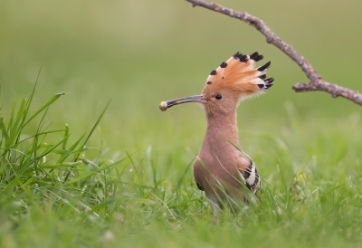 <i class='fa fa-user'></i>&nbsp;charlysax&nbsp;|   Hop&nbsp; <i class='fa fa-eye'>&nbsp;416</i> &nbsp; <i class='fa fa-comment-o'>&nbsp;5</i>