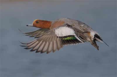 <i class='fa fa-user'></i>&nbsp;Harry Jamont&nbsp;|   Smient&nbsp; <i class='fa fa-eye'>&nbsp;728</i> &nbsp;<i class='fa fa-thumbs-up'>&nbsp;13</i> &nbsp; <i class='fa fa-comment-o'>&nbsp;24</i>