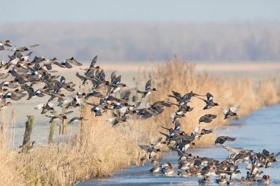 <i class='fa fa-user'></i>&nbsp;ep&nbsp;|   Smient&nbsp; <i class='fa fa-eye'>&nbsp;478</i> &nbsp;<i class='fa fa-thumbs-up'>&nbsp;1</i> &nbsp; <i class='fa fa-comment-o'>&nbsp;12</i>