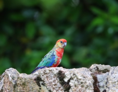 <i class='fa fa-user'></i>&nbsp;Theo Hendriks&nbsp;|   Stanleyrosella&nbsp; <i class='fa fa-eye'>&nbsp;215</i> &nbsp; <i class='fa fa-comment-o'>&nbsp;1</i>