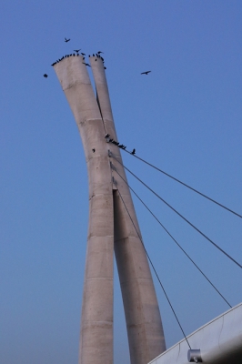 <i class='fa fa-user'></i>&nbsp;Henk Haans&nbsp;|   Zwarte Kraai&nbsp; <i class='fa fa-eye'>&nbsp;318</i> &nbsp;<i class='fa fa-thumbs-up'>&nbsp;8</i> &nbsp; <i class='fa fa-comment-o'>&nbsp;10</i>