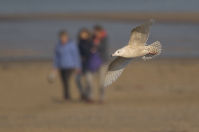 <i class='fa fa-user'></i>&nbsp;Peter Soer&nbsp;|   Grote Burgemeester&nbsp; <i class='fa fa-eye'>&nbsp;441</i> &nbsp;<i class='fa fa-thumbs-up'>&nbsp;2</i> &nbsp; <i class='fa fa-comment-o'>&nbsp;6</i>
