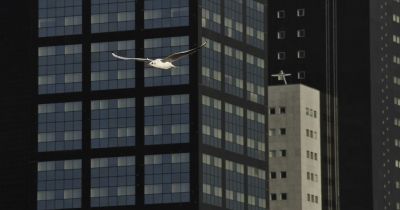 <i class='fa fa-user'></i>&nbsp;Fons Hoiting&nbsp;|   Kokmeeuw&nbsp; <i class='fa fa-eye'>&nbsp;536</i> &nbsp;<i class='fa fa-thumbs-up'>&nbsp;17</i> &nbsp; <i class='fa fa-comment-o'>&nbsp;14</i>