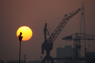 <i class='fa fa-user'></i>&nbsp;Peter Stam&nbsp;|   Aalscholver&nbsp; <i class='fa fa-eye'>&nbsp;601</i> &nbsp;<i class='fa fa-thumbs-up'>&nbsp;14</i> &nbsp; <i class='fa fa-comment-o'>&nbsp;22</i>