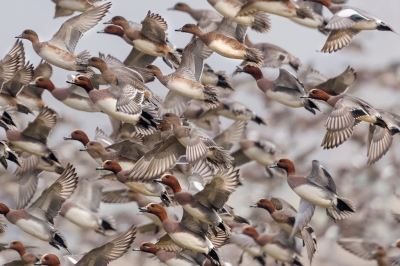 <i class='fa fa-user'></i>&nbsp;ep&nbsp;|   Smient&nbsp; <i class='fa fa-eye'>&nbsp;450</i> &nbsp;<i class='fa fa-thumbs-up'>&nbsp;3</i> &nbsp; <i class='fa fa-comment-o'>&nbsp;11</i>