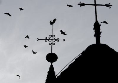 <i class='fa fa-user'></i>&nbsp;Fons Hoiting&nbsp;|   Kauw&nbsp; <i class='fa fa-eye'>&nbsp;235</i> &nbsp;<i class='fa fa-thumbs-up'>&nbsp;8</i> &nbsp; <i class='fa fa-comment-o'>&nbsp;11</i>