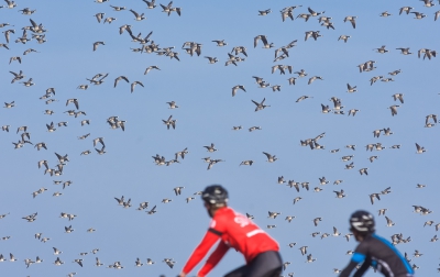 <i class='fa fa-user'></i>&nbsp;Monika&nbsp;|   Brandgans&nbsp; <i class='fa fa-eye'>&nbsp;473</i> &nbsp;<i class='fa fa-thumbs-up'>&nbsp;3</i> &nbsp; <i class='fa fa-comment-o'>&nbsp;11</i>