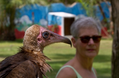 <i class='fa fa-user'></i>&nbsp;gras4711&nbsp;|   Kapgier&nbsp; <i class='fa fa-eye'>&nbsp;1021</i> &nbsp;<i class='fa fa-thumbs-up'>&nbsp;2</i> &nbsp; <i class='fa fa-comment-o'>&nbsp;9</i>