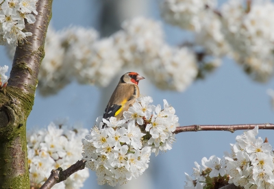 <i class='fa fa-user'></i>&nbsp;Jurgen Maassen&nbsp;|   Putter&nbsp; <i class='fa fa-eye'>&nbsp;144</i> &nbsp;<i class='fa fa-thumbs-up'>&nbsp;3</i> &nbsp; <i class='fa fa-comment-o'>&nbsp;8</i>